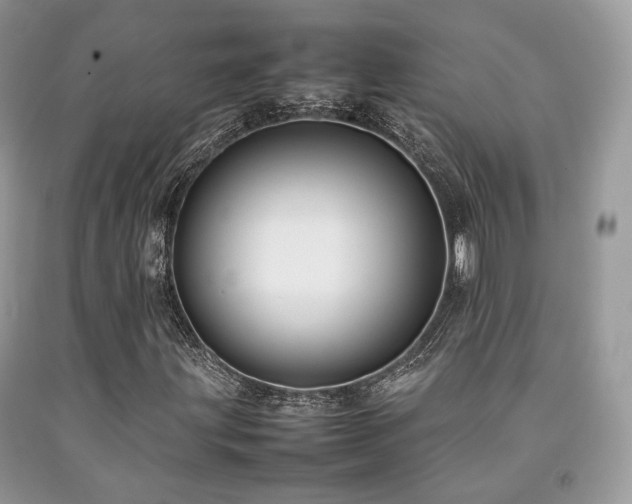 X0000092251203200709141141