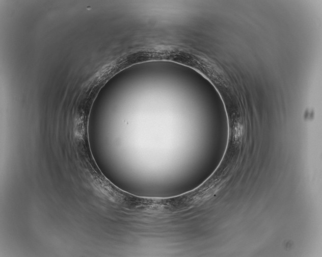 X0000092251204200709141141