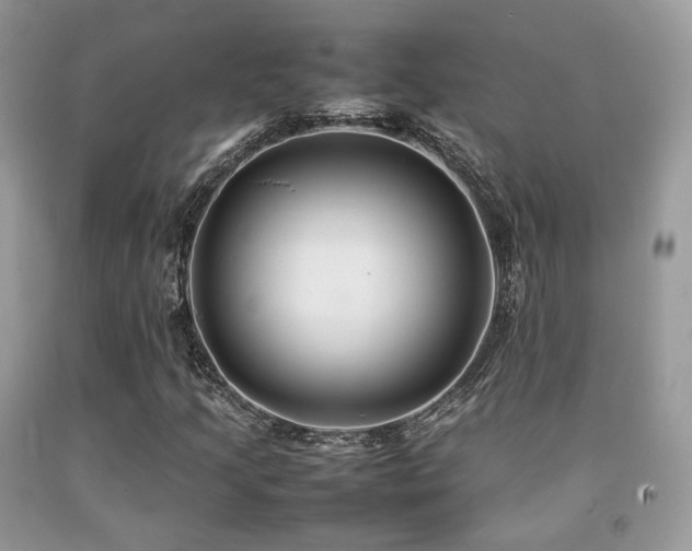 X0000092251205200709141141