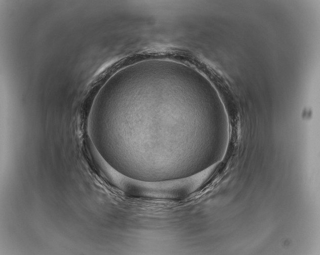 X0000092251206200709141141