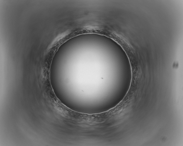 X0000092251207200709141141
