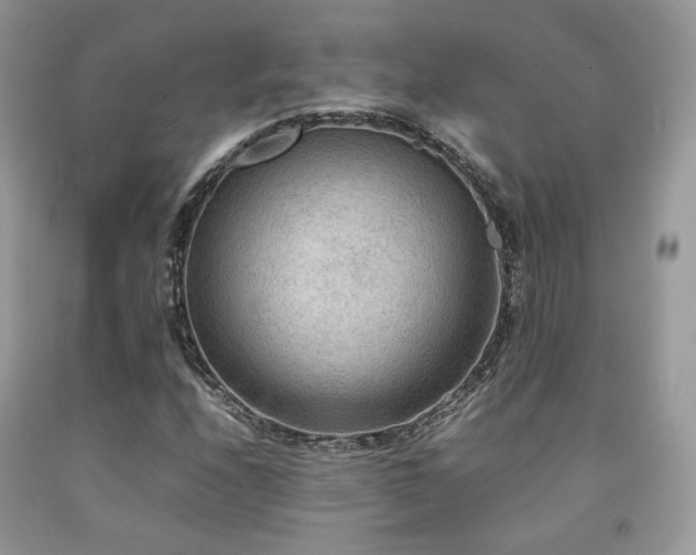 X0000092251208200709141141