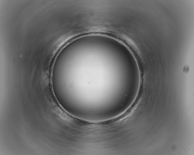 X0000092251212200709141141