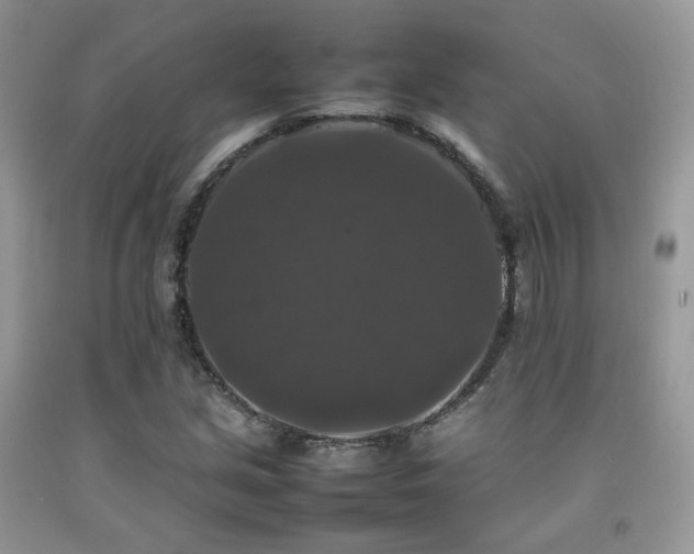 X0000092251213200709141141