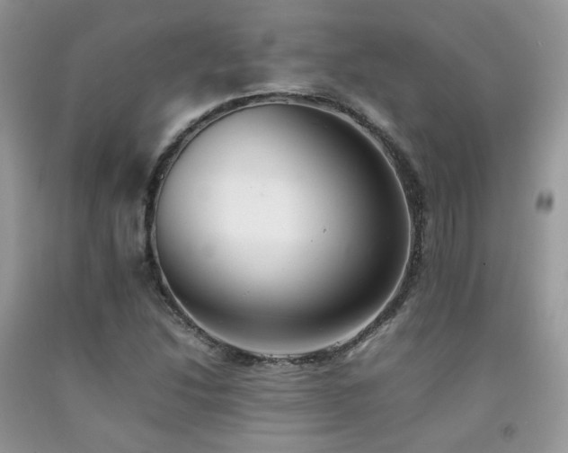 X0000092251214200709141141