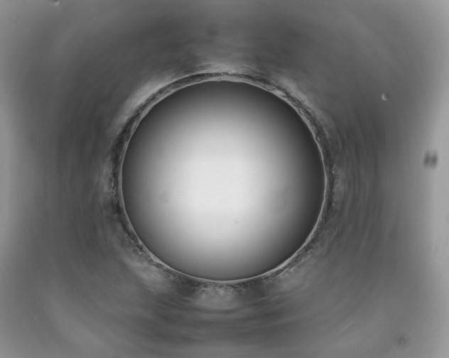 X0000092251215200709141141