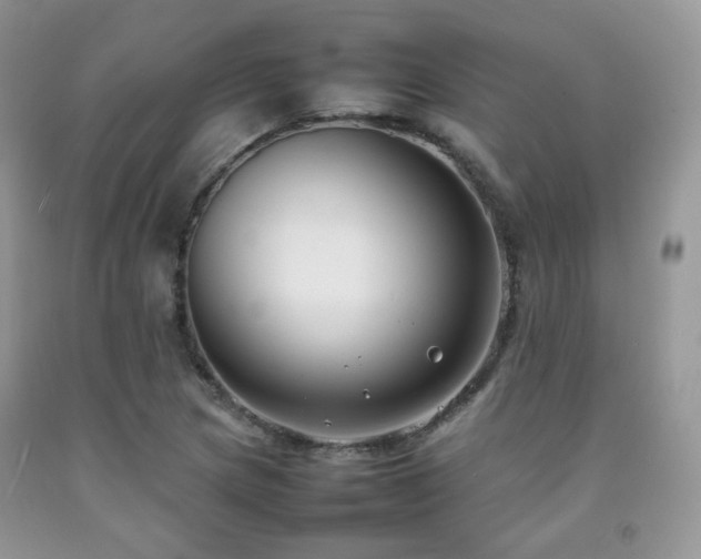 X0000092251217200709141141