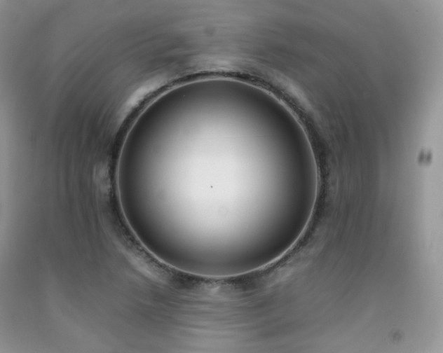 X0000092251218200709141141