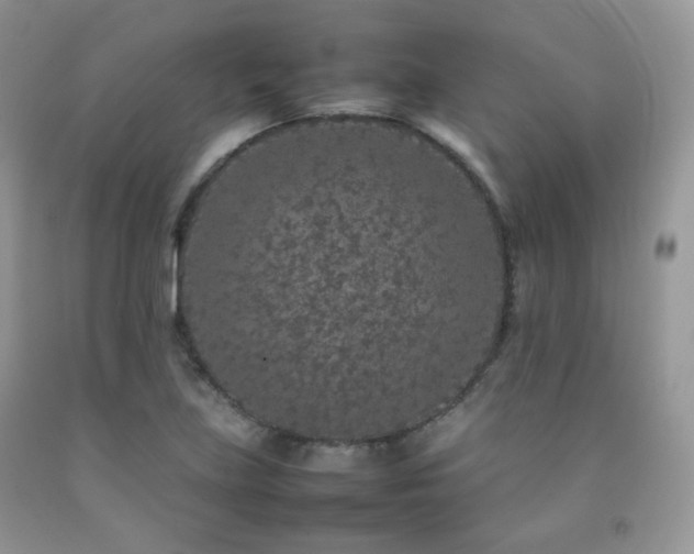 X0000092251219200709141141