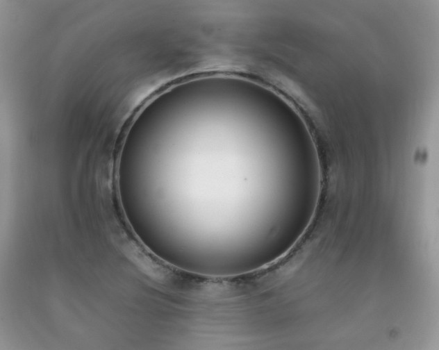 X0000092251220200709141141