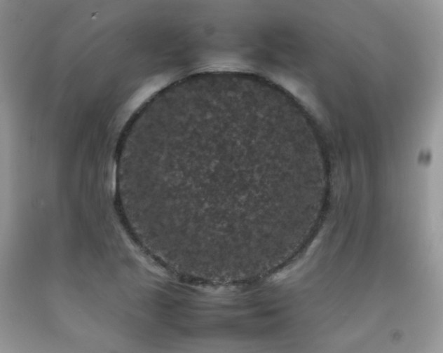 X0000092251221200709141141