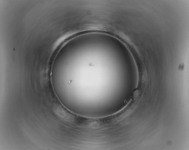 X0000092251222200709141141