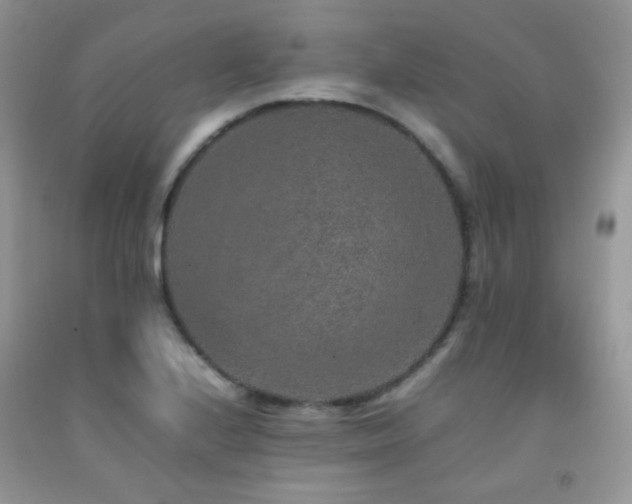 X0000092251224200709141141