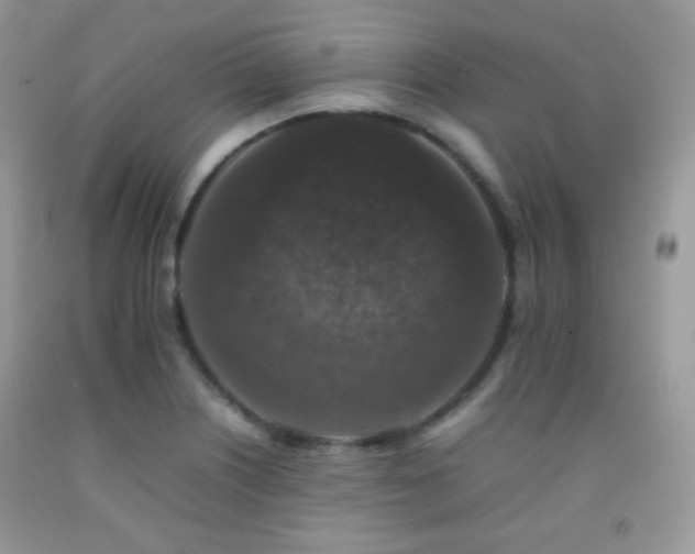 X0000092251226200709141141