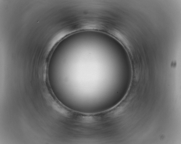 X0000092251227200709141141