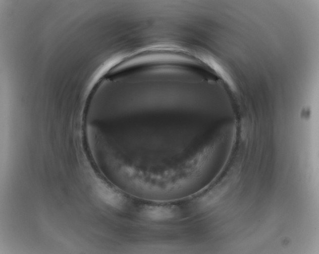 X0000092251229200709141141