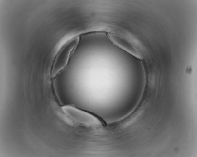 X0000092251230200709141141