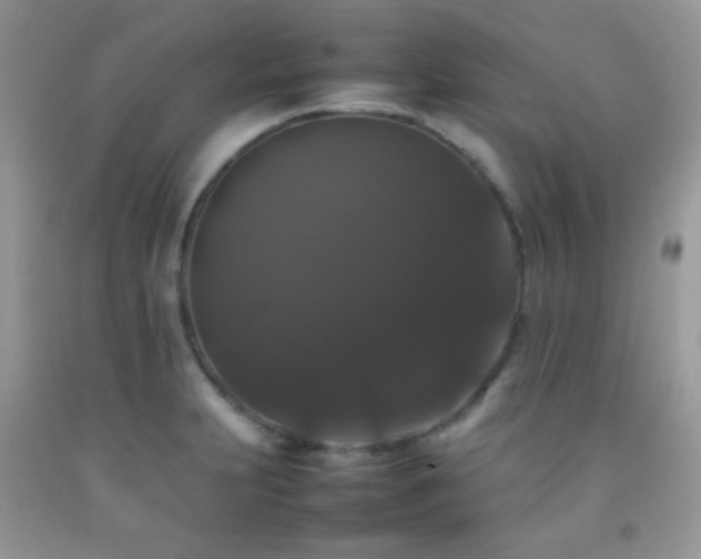 X0000092251231200709141141
