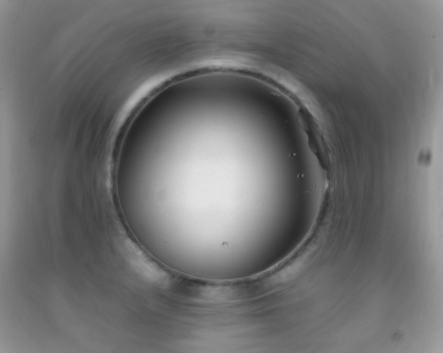 X0000092251232200709141141