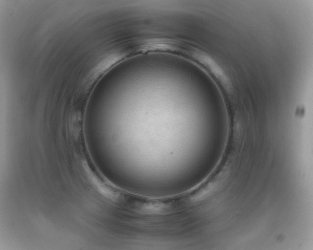 X0000092251233200709141141