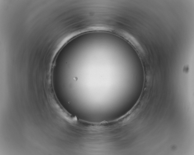 X0000092251236200709141141
