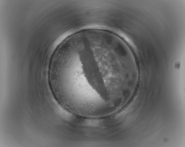 X0000092251237200709141141