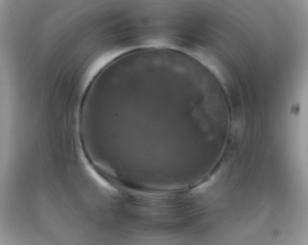 X0000092251239200709141141
