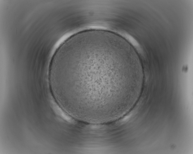 X0000092251240200709141141
