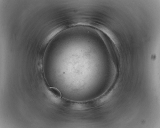 X0000092251241200709141141