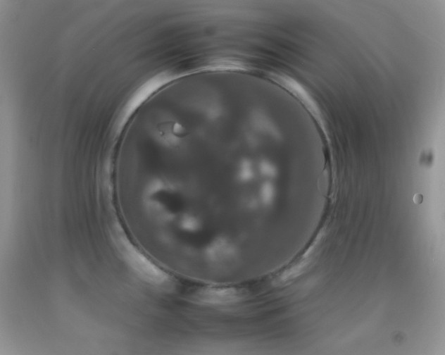 X0000092251243200709141141