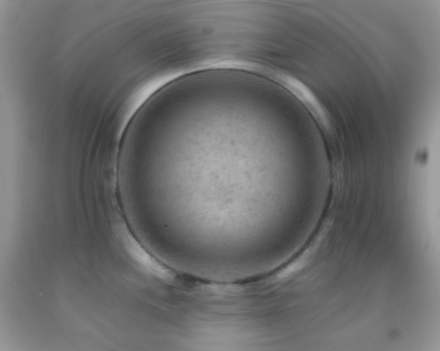 X0000092251244200709141141