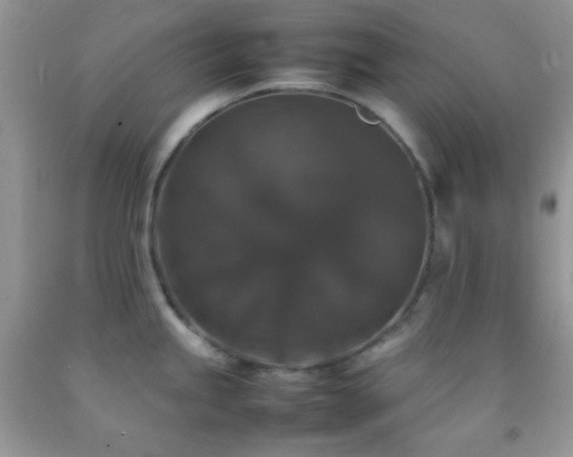 X0000092251245200709141141