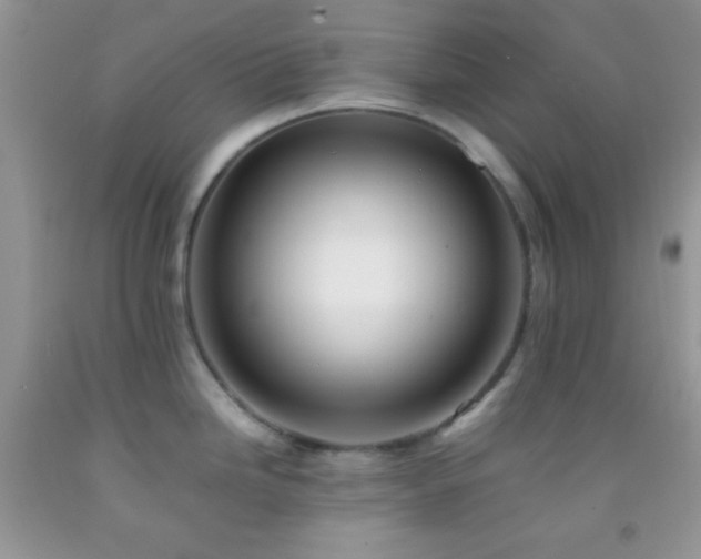 X0000092251246200709141141