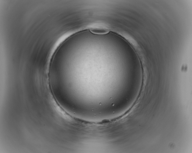 X0000092251248200709141141