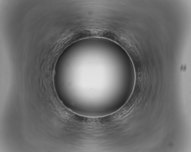 X0000092251249200709141141