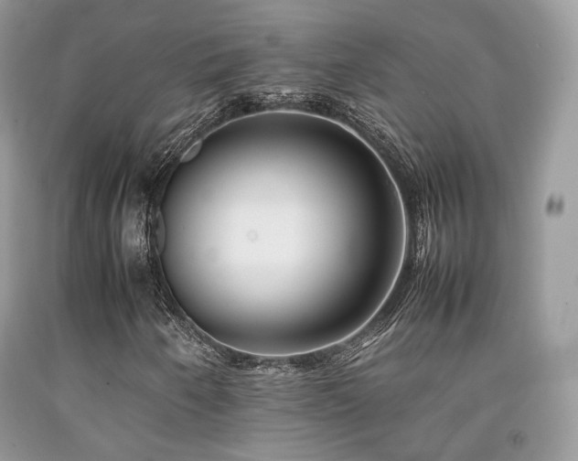 X0000092251250200709141141