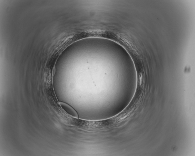 X0000092251251200709141141