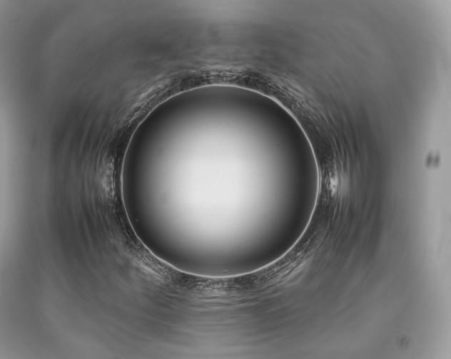 X0000092251252200709141141