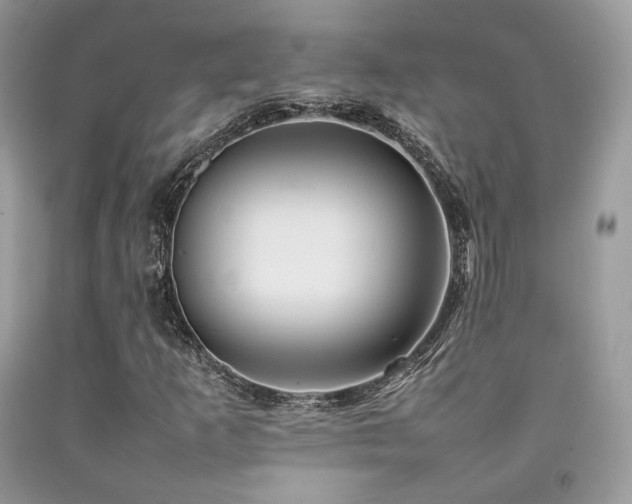 X0000092251253200709141141