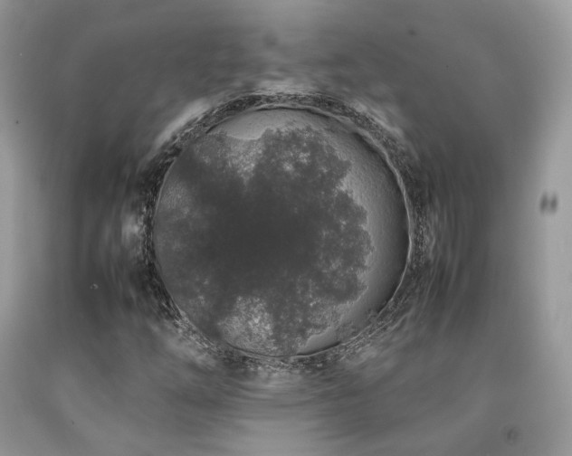 X0000092251254200709141141