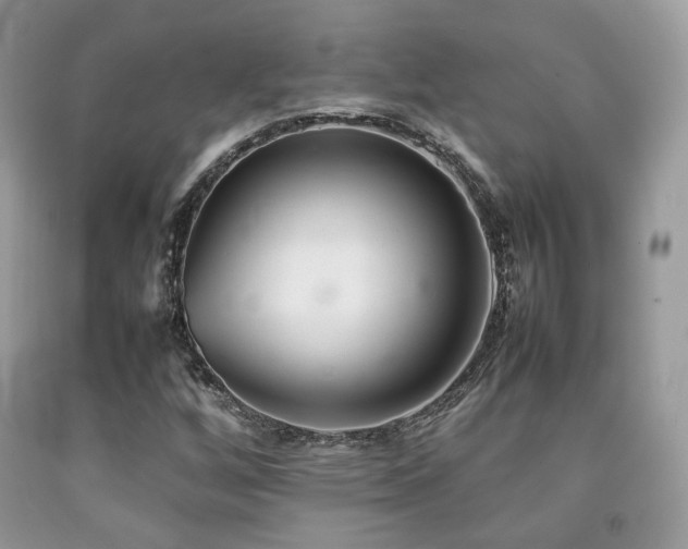 X0000092251256200709141141
