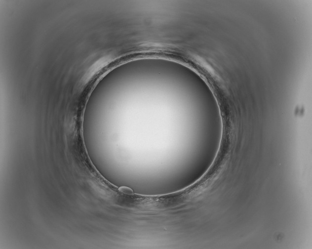 X0000092251259200709141141