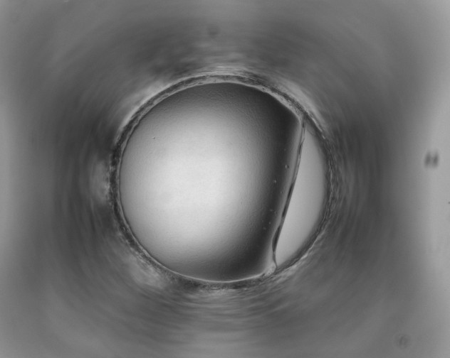 X0000092251260200709141141