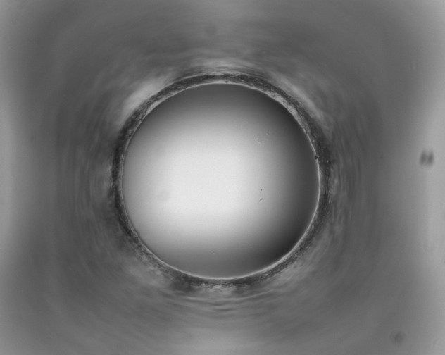 X0000092251261200709141141