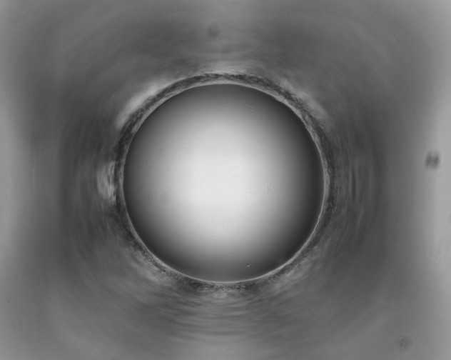 X0000092251262200709141141