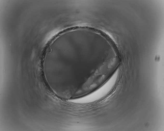 X0000092251263200709141141