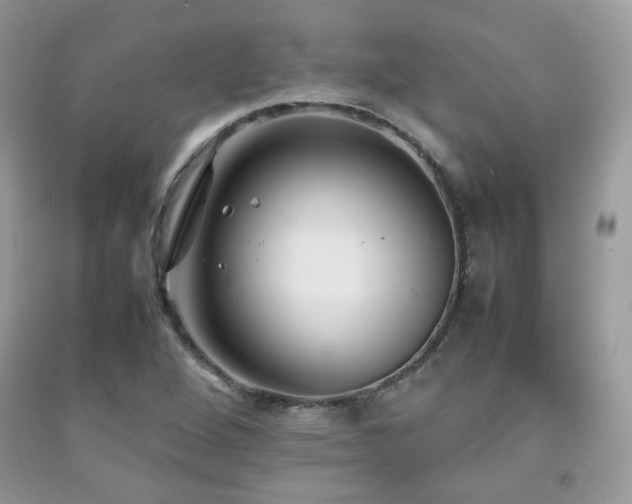 X0000092251264200709141141