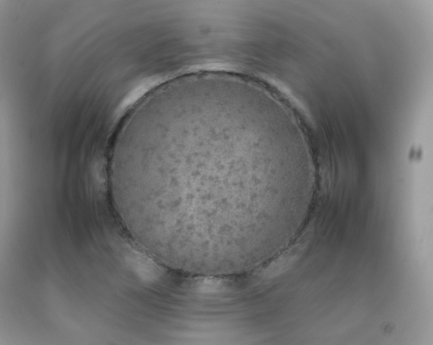 X0000092251266200709141141