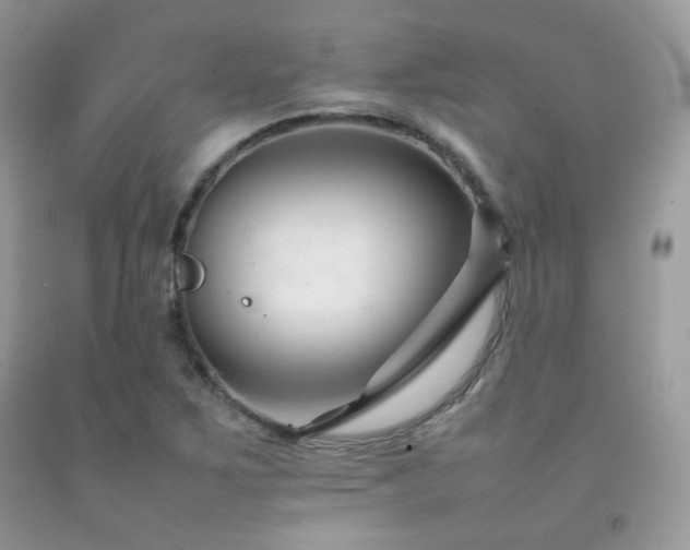 X0000092251267200709141141