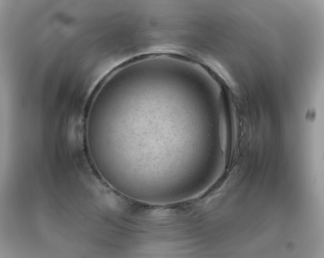 X0000092251268200709141141